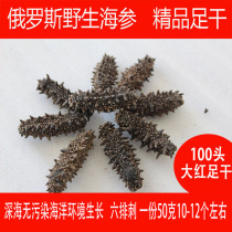 Russian wild sea cucumber Imported light dried sea cucumber 100 Northern four islands big red-footed dried sea cucumber 50 grams