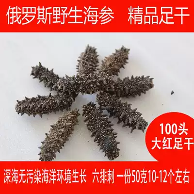 Russian wild sea cucumber imported light dried sea cucumber 100 head four northern islands big red foot dry sea cucumber 50g
