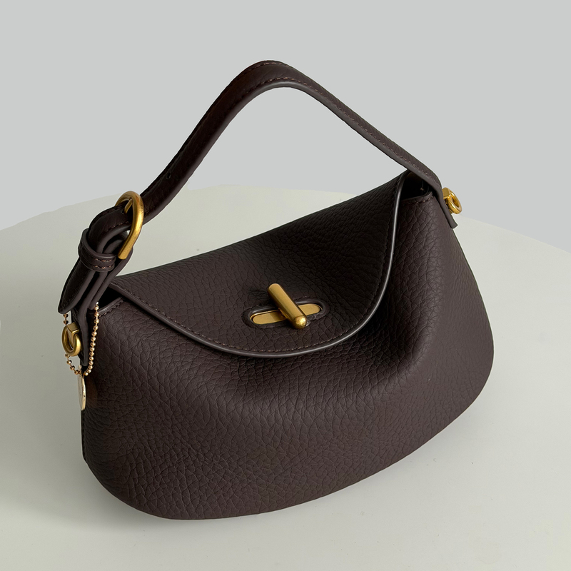 Ranu Niche Design Sliding Coin Purse, Fashionable and Versatile Handbag, High-End Lock Buckle Shoulder Bag, Crossbody Bag, Handbag