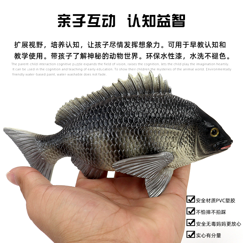 仿真海洋動物石鯛魚模型羅非魚塑膠實心擺件玩具鯉魚兒童認知禮物