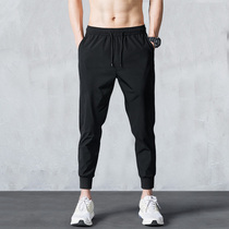 Summer thin drawstring pants mens casual sweatpants loose Harun small feet pants Korean version of the trend 9 nine-point pants