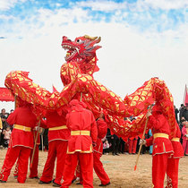 Dragon dance and lion dance performance props for children and adults dragon lantern and dragon dance student stage with dragon head nine-section dragon cloth dragon