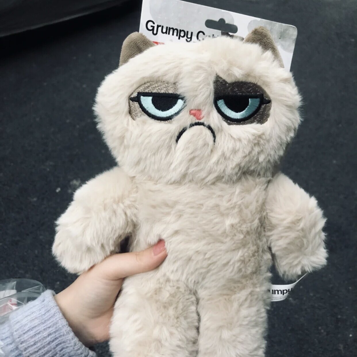 Take away potatoes, stinky cat, British GrumpyCat, unhappy cat and dog toy, pet plush doll, funny cat gift