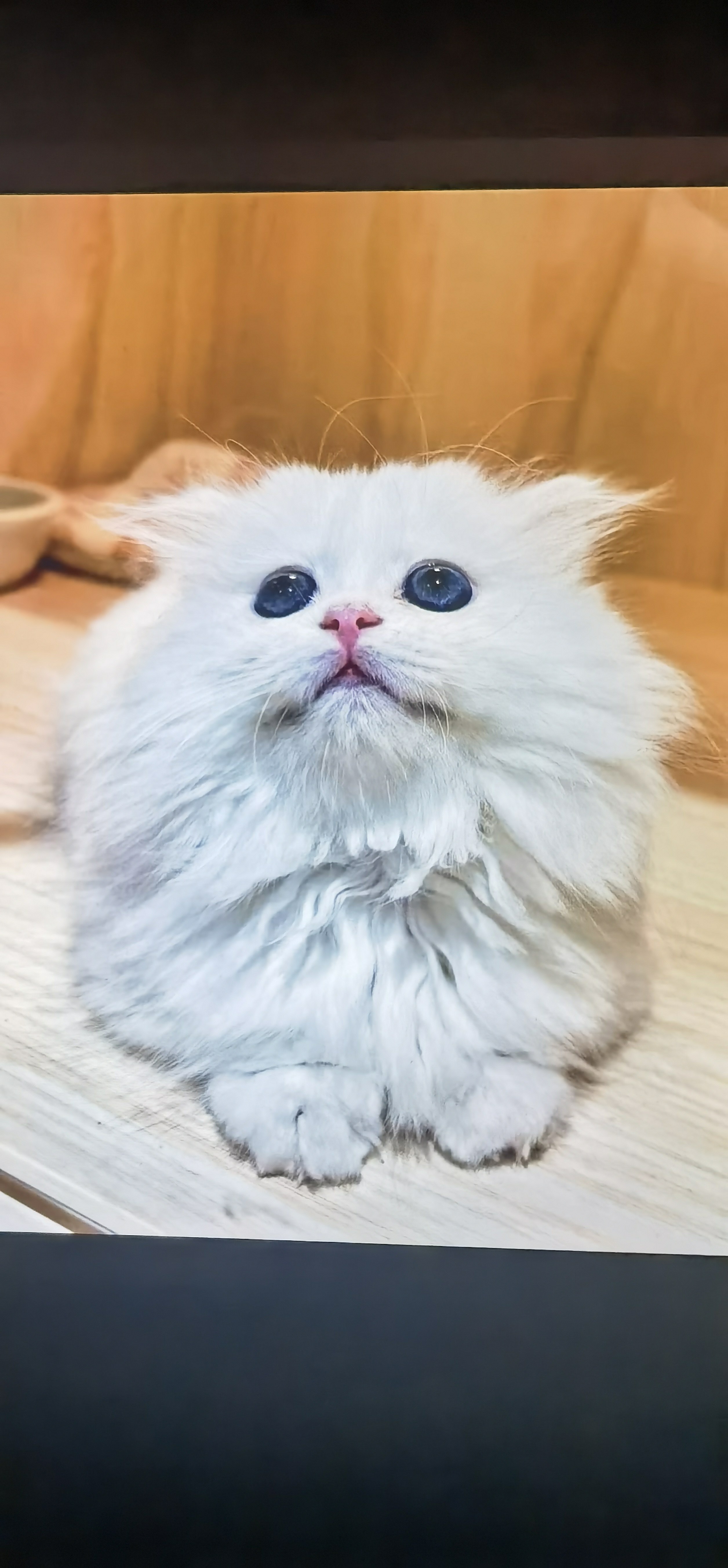 小财迷童装
