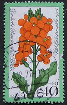 Germany West Berlin 1976 Welfare Supplement - Wild Flowers