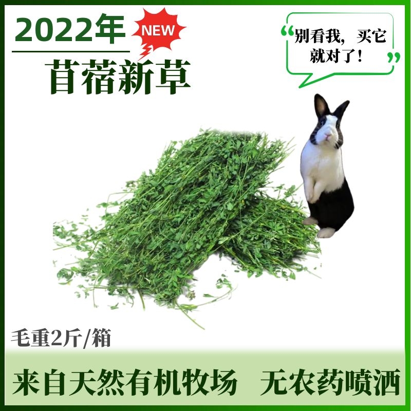 22 years new purple flower clover grass dried grass rabbit dragon cat guinea pig Dutch pig hair weighs 1000g Rabbit grain pasture grass