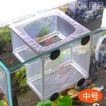 Fish tank hatching juvenile fish isolation net water isolation net breeding hatching box medium and large isolation box net breeding box