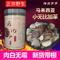 Malaysia incomparable leather Ubijaga original species wild 250g with Dongkh Ali Cabinda bark sparkling wine