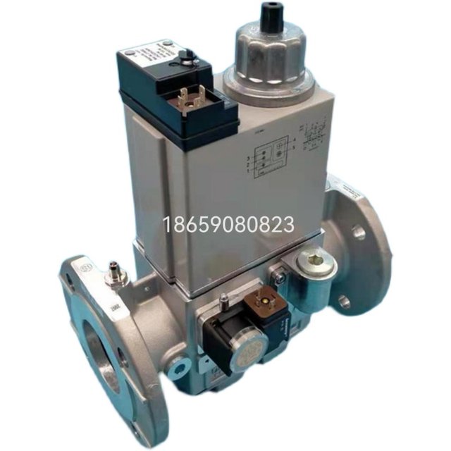 Lenney gas solenoid valve group DMV-DLE5065/11 burner valve solenoid valve DN65 double solenoid valve