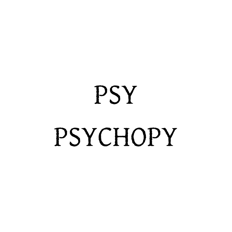 PSY CHOPY品牌折扣店