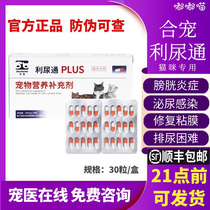 Liturgy Cat Favorites Urinary Tract Infection Cystitis Steno Kitinuria Blood Urinary System Maintenance Public Kitty Pee