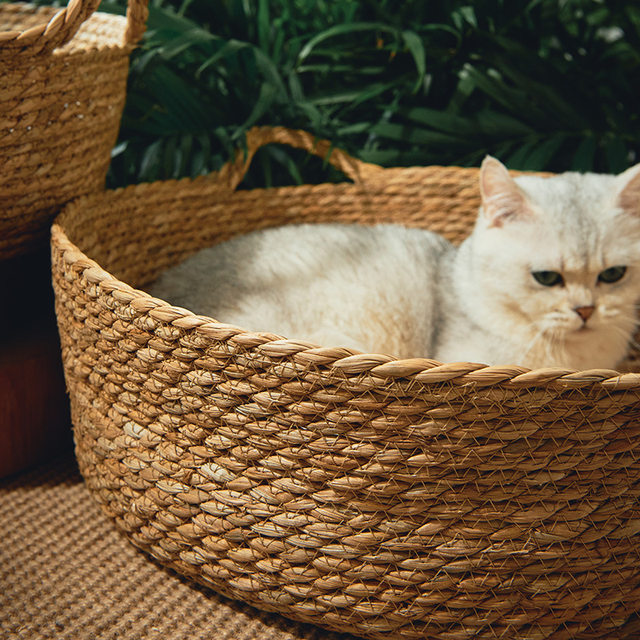 ຮັງແມວຫວາຍ summer cool nest universal cat bed grass woven mat nest internet celebrity cat mat pet supplies