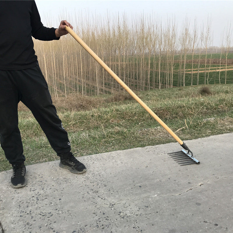 Agricultural iron rake multi-functional leveling land loose soil repair ridge planting vegetable flower round forest art rake grass construction site gray nail rake