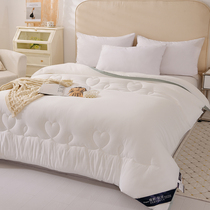 Simple solid color spring and autumn quilt core summer air conditioner is summer cool quilt double quilt core A cotton soybean fiber quilt