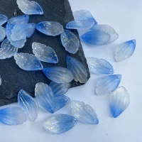 Большая радужная оболочка № 9 20 штук за порцию