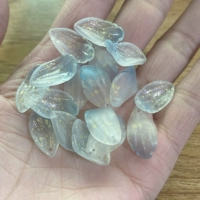 Большая радужная оболочка № 14 20 штук за порцию