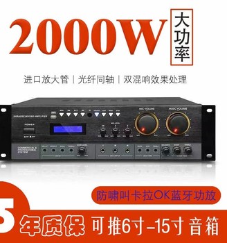 110V220 Voltage Bluetooth Amplifier Ktv Anti-Howling Heavy Bass Home Karaoke Amplifier Taiwan Europe and America
