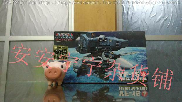 Hasegawa 1 72 Macross Macrosd VF-1S Special Edition Metal Plating Limited