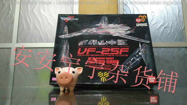 Van Generation 1 72 Hessen Regulation Transparency Limits Outside Time Fortress VF - 25F Early B Female Spot