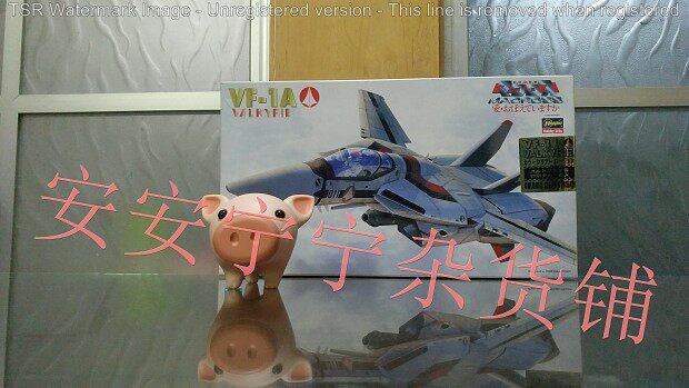 Peaceful Mother Hasegawa 1 72 Limited Clear VF-1S Macross