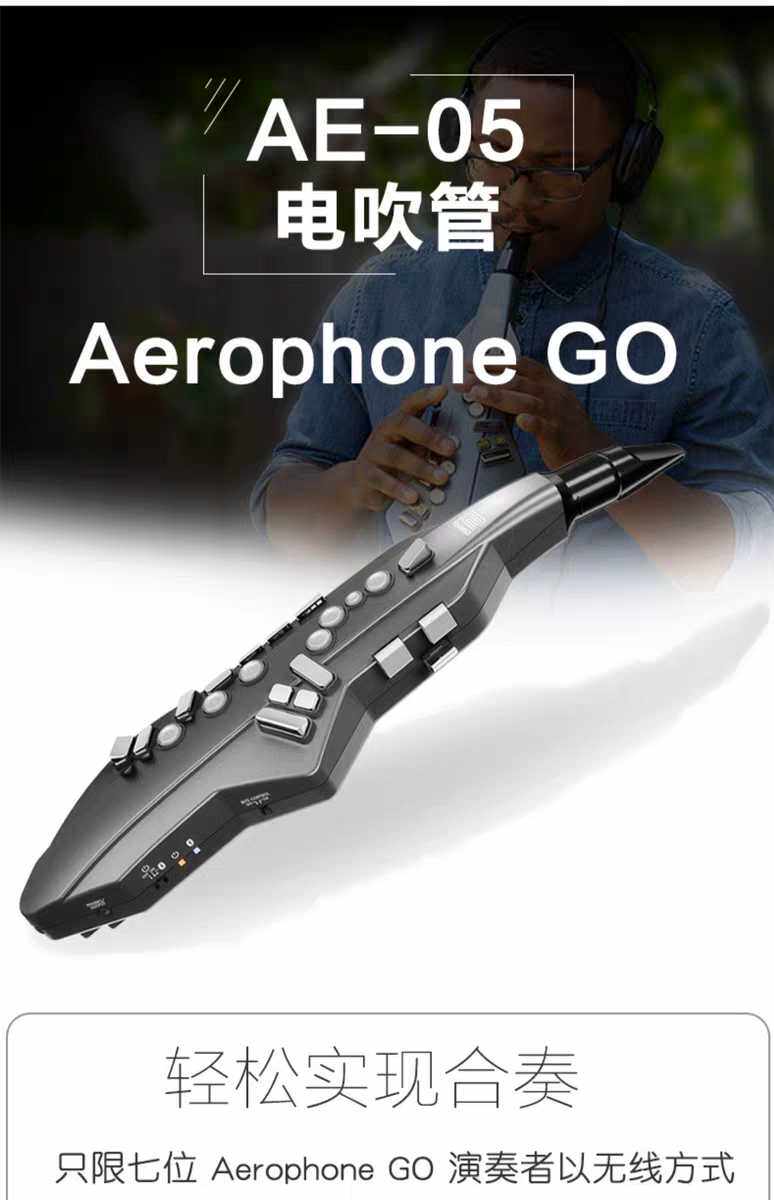 ROLAND ROLAND electric blowpipe AE05 Aerophone AE-05 electronic blowpipe