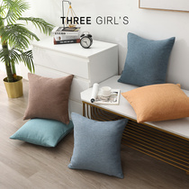 2021 Japanese minimalist ins pillow fashion Nordic pillow case sofa cushion office cushion