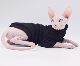 High Collar Chenille Super Soft Hairless Cat Clothes Sphynx Cat Eastern Short Devon Cornish