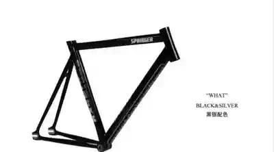 FAI CHUN SPRINGER ELEMENT FRAME