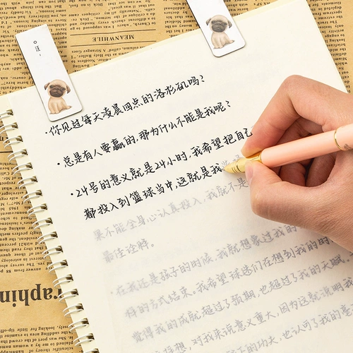 Каллиграфия, тетрадь для школьников, ручка, популярно в интернете, подходит для студента