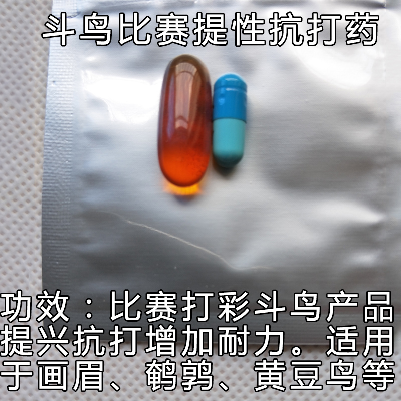 Chim chọi, gà chọi, vật tư chiến đấu, tưa lưỡi, chim chọi, đậu vàng, chim chọi, thuốc chiến đấu, chim chọi - Chim & Chăm sóc chim Supplies lồng chim cảnh
