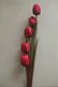 5 hoa tulip giả hoa 绢 hoa phòng khách sàn trang trí hoa trang trí hoa nhựa khô hoa cao - Hoa nhân tạo / Cây / Trái cây