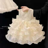 女童洋装夏季2025新款宝宝周岁生日礼服儿童公主裙高端蛋糕裙子
