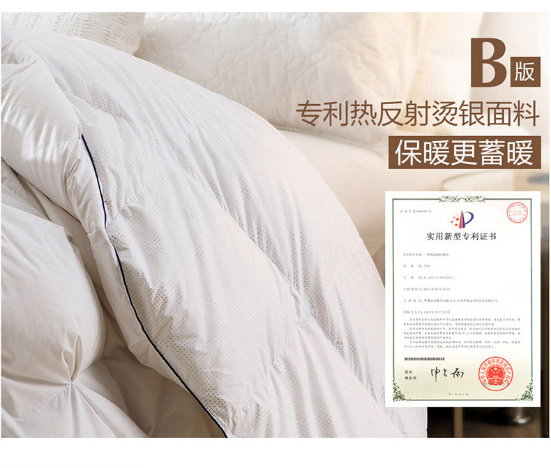 LOVO 90白鹅绒 雷克雅烫银蓄暖分区羽绒被 图6