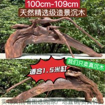 100cm-109cm large number arch bridge South America Multi-branch View branches Tree pile Turtle Purple Grapefruit Wood Decorative Pendulum