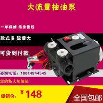 Good luck 12v24V220V diesel pump big flow metering car gasoline motor unloading oil pump small pumping unit