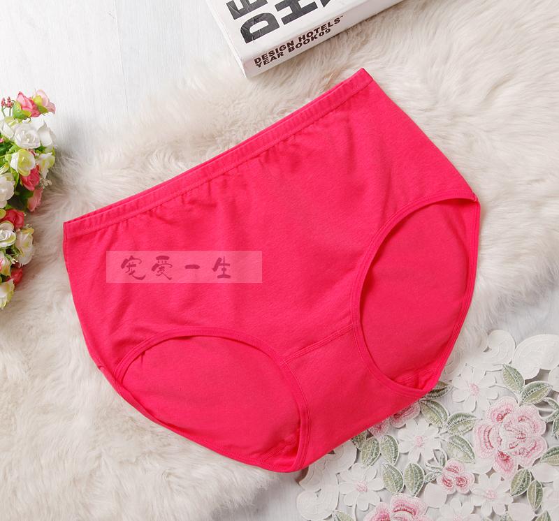 Quần cotton bằng sợi than củi chất béo cao mm cộng với phân bón XL đồ lót rộng 200 kg đồ lót học sinh