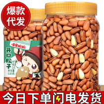 Open pine nuts 500g can open hand peeled pine nuts office casual snacks ready-made pine nuts canned nuts