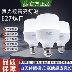 Led Sound and Light Control Lights, Corridor Sound Control Light Fixtures, Hallway and Property Human Motion Sensor Light Bulbs, Led Sound and Light Control Bulbs
