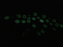 Italian-made diving side-sling fly jacket BCD barometer residual pressure form table luminous pointer