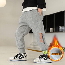 Boy gush pants integrated suede autumn winter style 2021 Winter children thin suede sports pants CUHK children outwear long pants