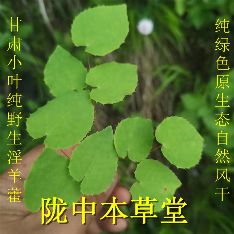 Gansu wild mining new goods pure natural wild masheran 100 gr Xianling spleen men can be matched with lock yang