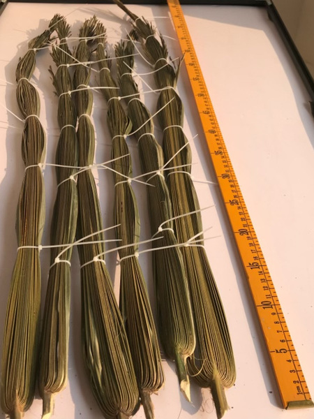 Dried Palm Leaf Weaving Materials, Handmade Materials for Student Crafting, Materials for Handmade Crafting Classes, Classroom Teaching Materials
