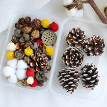  Pine Cones dried lotus leaves natural dried flowers kindergarten dried branches Forest Department Christmas handmade diy material package pine tower