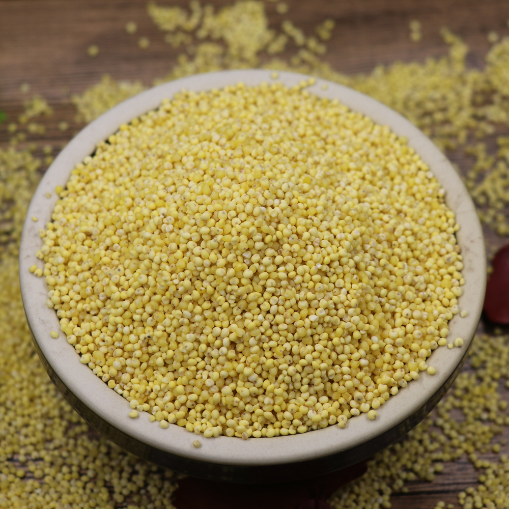 Huang Xiaomi Farm Xiaomi Yellow Rice Grain Fresh glutinous millet grain, Pengle Valley Cereal 900g