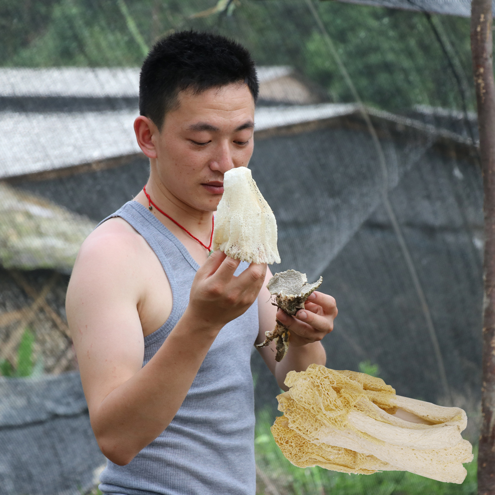 Bamboo sun dry goods 100g farmhouse self-grown bamboo sheng sulfur-free smoked long skirt foot sun fresh Gutian specialty mushrooms non-500g