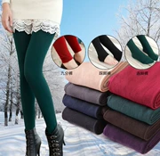 Mùa xuân và mùa thu nữ mặc quần legging cộng với quần lửng nhung dày Slim quần chân mỏng quần nữ mùa xuân mỏng