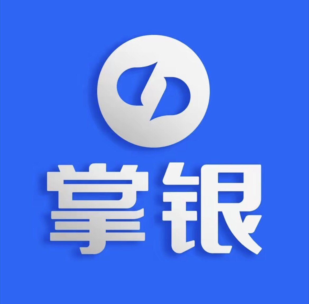 掌银科技总店