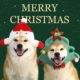 Dog and Cat Christmas Decoration Hat, Small and Medium-Sized Dog Headgear, Cartoon Cute Costume, Plush Christmas Tree Snowman Hat