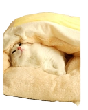 Удерживающий тепло зимний спальный мешок, съёмное одеяло, увеличенная толщина, домашний питомец, кот