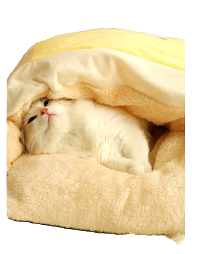 Удерживающий тепло зимний спальный мешок, съёмное одеяло, увеличенная толщина, домашний питомец, кот